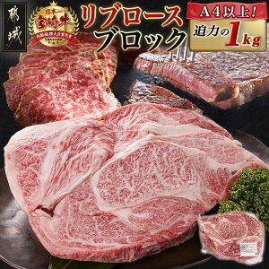 yӂ邳Ɣ[Łzsr[Ly[{It{苍u[XubN(1kg) - {茧Y{苍 Y ubN ubN  {苍Xe[L YXe[L aXe[L X