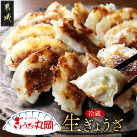 【ふるさと納税】【ぎょうざの丸岡】生ぎょうざ50個たれ付き - 餃子 国産豚肉 国産野菜 キャベツ ニンニク ネギ 焼き餃子 水餃子 揚げ餃子 ご当地グルメ 宮崎県 都城市 故郷の味 冷蔵配送 金曜日お届け 送料無料 AA-O101 【宮崎県都城市】