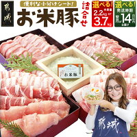 【ふるさと納税】【精肉ランキング1位獲得】【内容量＆発送時期が選べる！】お...