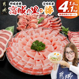 【ふるさと納税】高評価レビュー【産地＋内容量＋発送時期が選べる！】わくわく豚肉セット - 1.5kg 2.4kg 4.1kg ロース とんかつ 焼肉 切り落とし 都城産 高城の里 / 宮崎県産豚 発送時期が選べる 快速便あり 送料無料 SKU-8404 【宮崎県都城市】