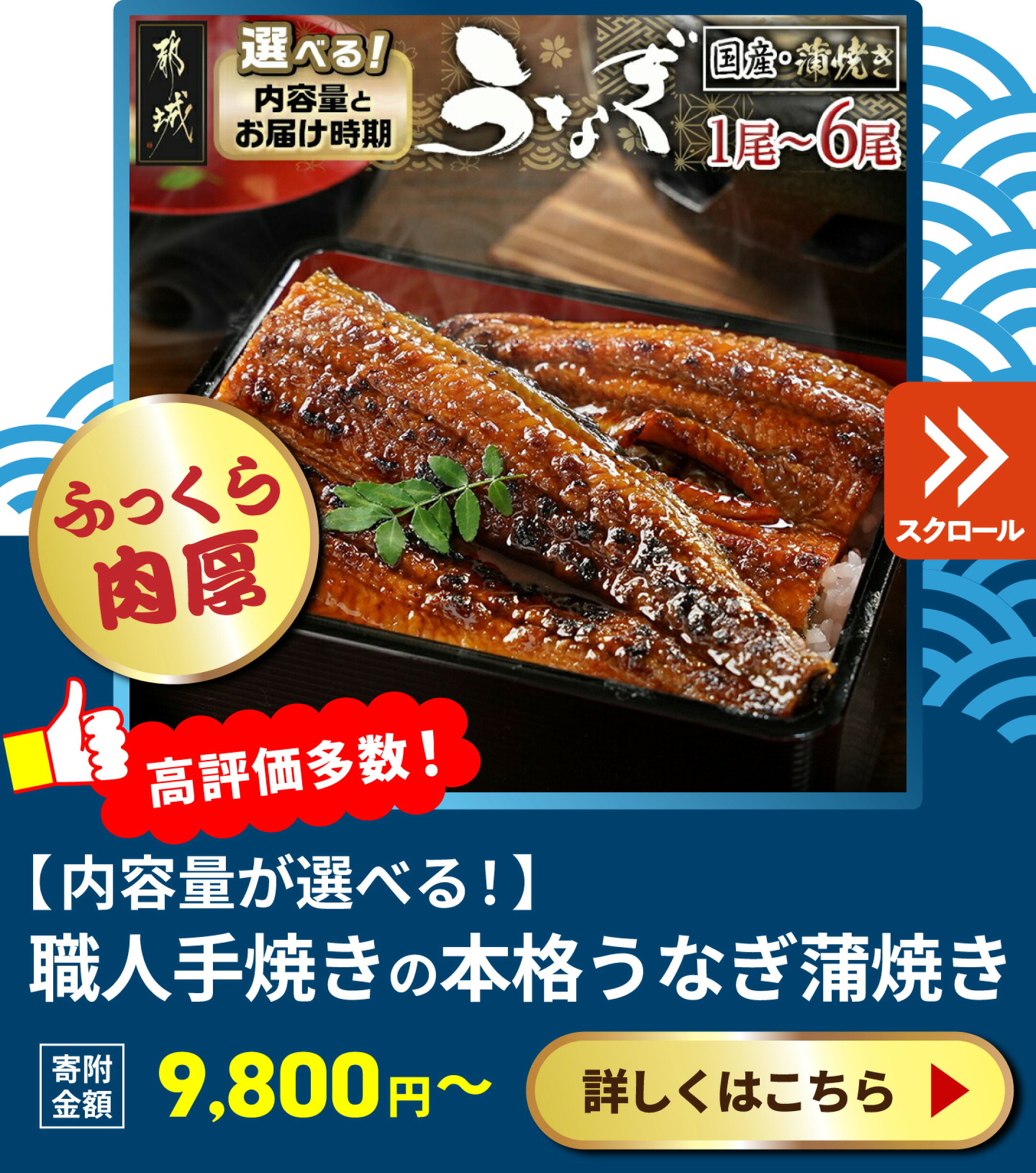 職人手焼きの本格うなぎ蒲焼き