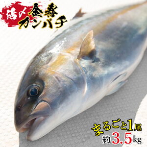 yӂ邳Ɣ[Łz鐅Y Jp` 1 3.5kg hg Ă ① {茧s 