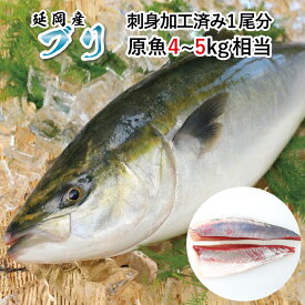 楽天市場 コロナ 支援 ブリ 魚介類 水産加工品 食品の通販 楽天市場 コロナ 支援 ブリ 魚介類 水産加工品 食品の通販