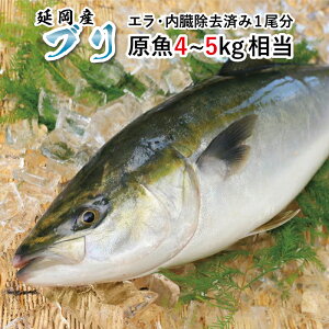 ぶり 5kg 魚の人気商品 通販 価格比較 価格 Com