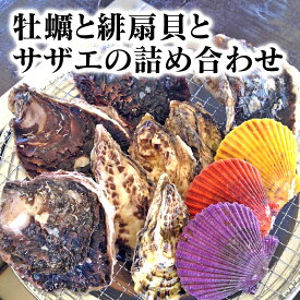 楽天市場 緋扇貝の通販
