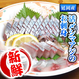 楽天市場 シマアジ 刺身の通販 楽天市場 シマアジ 刺身の通販