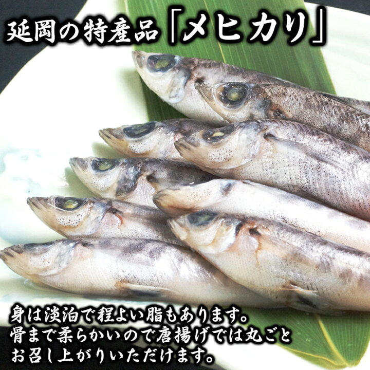 北浦漁港水揚げ カットメヒカリ 大サイズ2kg