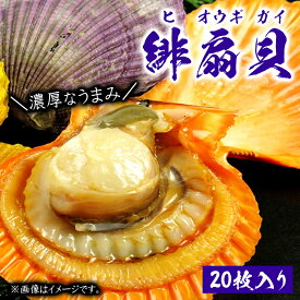 楽天市場 緋扇貝の通販