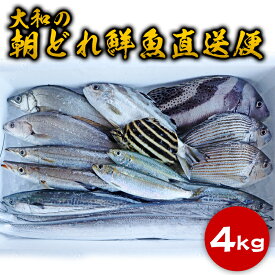 楽天市場 サワラ サゴシ 刺身の通販 楽天市場 サワラ サゴシ 刺身の通販