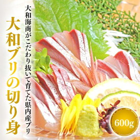 楽天市場 コロナ 支援 ブリ 魚介類 水産加工品 食品の通販