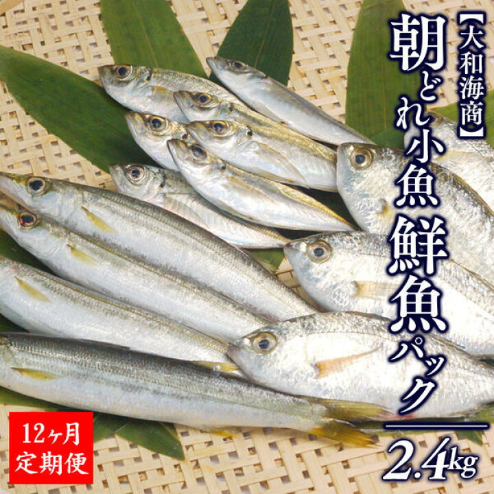 楽天市場 ふるさと納税 12ヶ月定期便 大和海商の朝どれ鮮魚小魚パック 2 4kg G031 アジ カマス イワシ 鱗 内臓処理済 旬 国産 宮崎県延岡市 送料無料 宮崎県延岡市 楽天市場 ふるさと納税 12ヶ月定期便 大和海商の朝どれ鮮魚小魚パック 2 4kg G031 アジ カマス イワシ 鱗 内臓処理済 旬 国産 宮崎県延岡市 送料無料 宮崎県延岡市