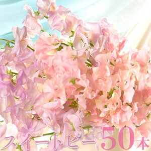 yӂ邳Ɣ[Łzy1`3zk쒬̃XC[gs[50{