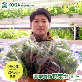 【ふるさと納税】高栄養価野菜セット