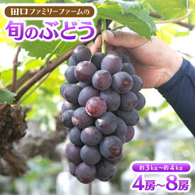 【ふるさと納税】B703 田口ファミリーファームの旬のぶどう 4房〜8房（約3kg〜約4kg）2024年7月下旬発送開始 果物 フルーツ 葡萄 ブドウ 国産 宮崎県延岡市 送料無料