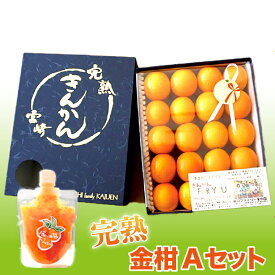 楽天市場 ふるさと納税 宮崎県 キンカンの通販 楽天市場 ふるさと納税 宮崎県 キンカンの通販