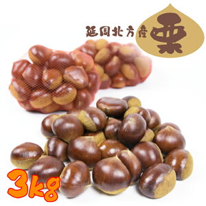 yӂ邳Ɣ[ŁzskY I 3kg ĂI H̖o ① Y  XC[c fU[g   I IƂ ØI  蕨 yY lC  {茧 s 
