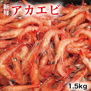 yӂ邳Ɣ[ŁzAJGr@1.5kg@{茧s@Ⓚ@