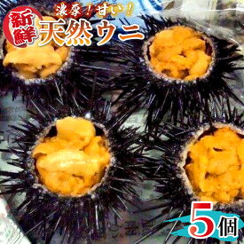 【ふるさと納税】日豊海岸 延岡産 天然 ウニ 5個 とろける 舌触り 濃厚 甘み ムラサキウニ 冷蔵 殻付き 新鮮 国産 北浦 食品 魚介類 海鮮 海産物 おつまみ グルメ お取り寄せ お取り寄せグルメ 宮崎県 延岡市 送料無料