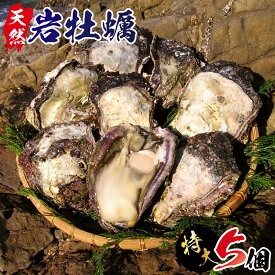 楽天市場 岩牡蠣の通販 楽天市場 岩牡蠣の通販
