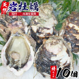 楽天市場 岩牡蠣の通販 楽天市場 岩牡蠣の通販
