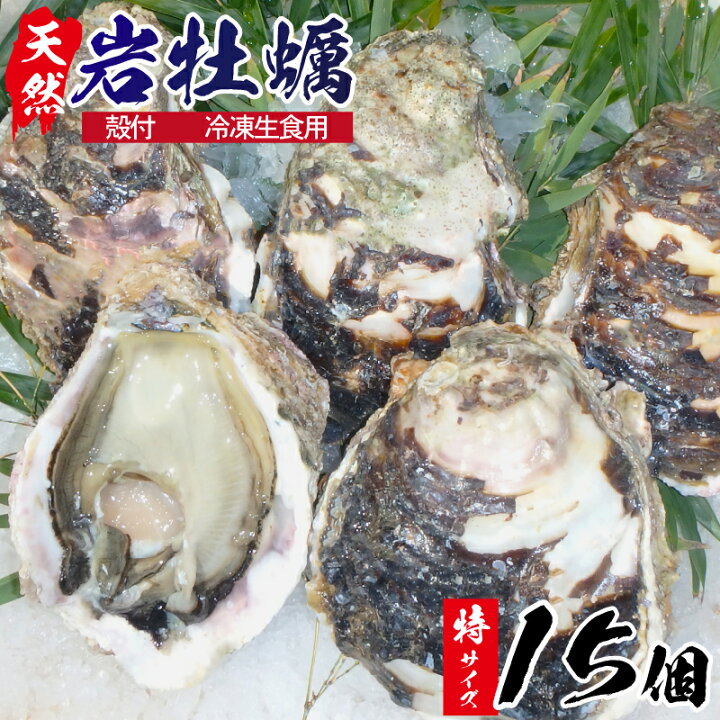 9100円 豪華な 延岡産天然岩牡蠣 生食用 3kg 中 2022年4