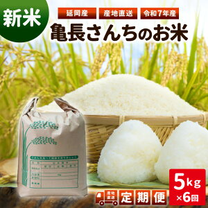 yӂ邳Ɣ[Łzߘa7NY V Ђ̂Ђ 6 T񂿂̂ 5kg 10{菇 Y {茧s  