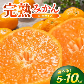 【ふるさと納税】完熟 みかん 選べる 内容量 5kg ～ 10kg S M サイズ まりちゃん農園 マリみかん 宮川早生みかん 宮崎県 延岡市 送料無料