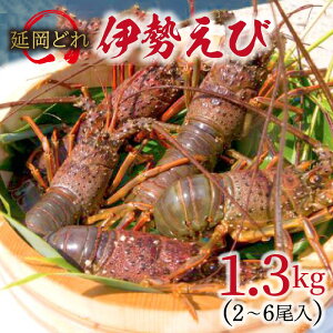 yӂ邳Ɣ[Łzǂɐ1.3kg