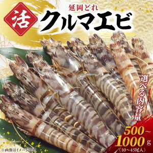 �y�ӂ邳�Ɣ[�Łz���]�� ��5.00 �����ǂ� �N���}�G�r �I�ׂ� ���e�� 500g 800g 1000g �����ԊC�V ���� �w������͂� �h�g ���Ă� �G�r�`�� �G�r�t���C �p�X�^ ���j���� �{�B �g���Ղ�Ղ� �V�N �C