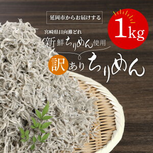 yӂ邳Ɣ[Łz󂠂 {Y ߂ H꒼ 1kg 