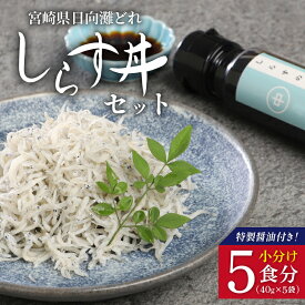 【ふるさと納税】宮崎産 しらす丼 セット 小分け 5食分 200g 老舗醸造所 特製醤油付き マルナカ海産 A0221