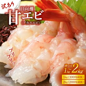 【ふるさと納税】訳あり 甘エビ 鮮度抜群 日向灘 アカスエビ ヒゲナガ海老 天然エビ 容量選べる 1kg 2kg 朱色 甘い ぷりっぷり 食感 生食 お刺身 塩焼き 味噌汁 唐揚げ アレンジ 冷凍 魚介類 海産物 梱包 宮崎県 延岡市 お取り寄せ お取り寄せグルメ 送料無料
