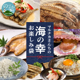 【ふるさと納税】【マルナカ海産】海の幸お楽しみ袋 ヒオウギ貝 甘エビ アジ カマス アカスエビ エビ メヒカリ 魚介類 アジ開き カマス開き 干物 加工品 日向灘 延岡産 宮崎県延岡市 産地直送 送料無料