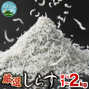 yӂ邳Ɣ[ŁzI 炷 Iׂ e 1kg 2kg {Y VN т̂ 炷 VR R̖ h{ JVE r^~ 炷  񂹃O Y  Ⓚ Hi 