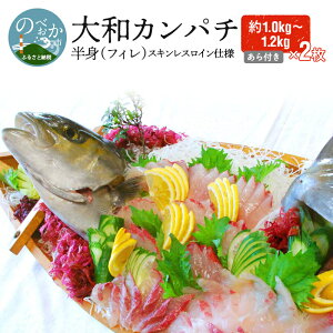 yӂ邳Ɣ[ŁzyaJp`zgitBj1.0kg`1.2kg×2iXLXCdltjiD064j@Jpb`@{@Y@{茧s@