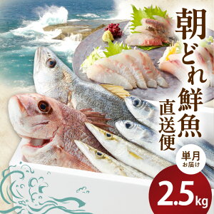 yӂ邳Ɣ[ŁzyP͂zaC̒ǂNց@2.5kg@{@Y@{茧s@