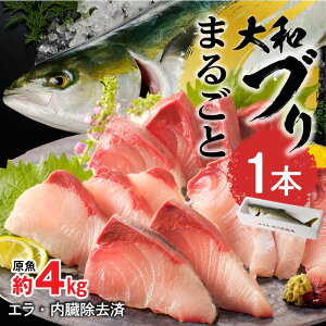 yӂ邳Ɣ[Łzy10`2z܂邲ƈ{ au ς Ƃ e L Ȃ Ԃ hg Ԃ肵 ϕ { Y  CN {茧s Yn 