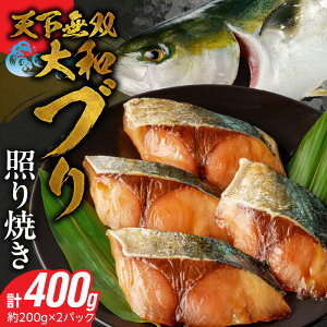 yӂ邳Ɣ[Łzau ƂĂ 100g 2 × 2pbN } Ⓚ   R ӂӂ u   CN CY C̍K Ă ȒP  O {茧 s