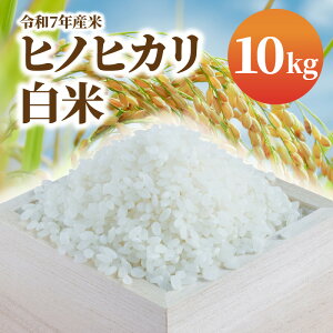 yӂ邳Ɣ[Łzߘa7NY  qmqJ 10kg  ӂ    e  Â Hׂ  ߂Ă  ɂ  aH `[n  ٓ  