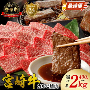 yӂ邳Ɣ[Łztb4Ae { {苍 Jr ē Iׂ e 400g ` 2kg Xs[hz ő 炩 a    4ȏ Y S i uh 