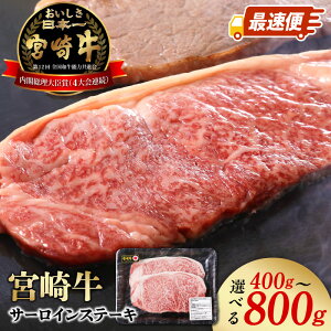 yӂ邳Ɣ[Łz{苍 T[CXe[L e Iׂ 400g 600g 800g Ⓚ Xs[hz ő 