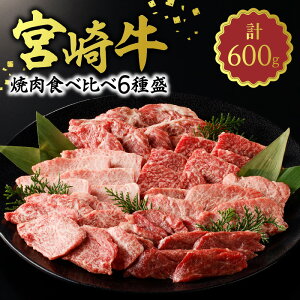 yӂ邳Ɣ[Łz {苍 ē Hה 6퐷 600g T[C uc gEKV J^ Jr Jr  4ȏ   Y Y a Hi Ⓚ o[xL[ 