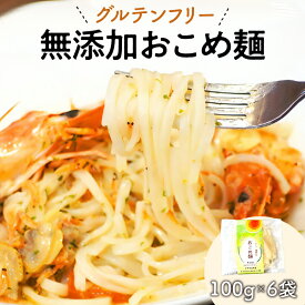 【ふるさと納税】【グルテンフリー】無添加おこめ麺　100g×6袋（A030）米粉麺　パスタ　うどん　　宮崎県延岡市　送料無料