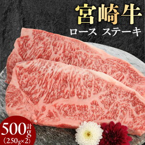 yӂ邳Ɣ[Łz{苍 [X Xe[L 250g×2 v500g ~`N Y
