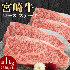 yӂ邳Ɣ[Łz{苍 [X Xe[L 250g×4 v1kg ~`N Y
