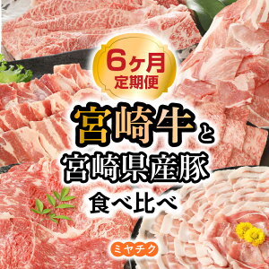 yӂ邳Ɣ[Łzy6z{苍 {茧Y јa  ؃[X EfXCX ؃o ؏Ԑ؂ [X XCX ~`N Y   ؓ {茧 s 