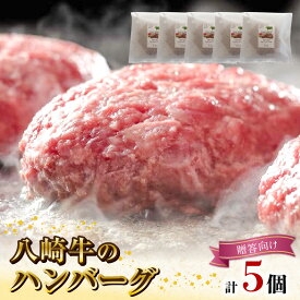 【ふるさと納税】八崎牛 ハンバーグ 約 120g × 5 贈答向け 無添加 国産 旨味 肉汁 黒毛和牛 和牛 グルメ 惣菜 おかず ご飯のお供 加工品 食品 肉 冷凍 宮崎県 延岡市 鏡山牧場 お取り寄せ お取り寄せグルメ 送料無料