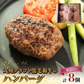 【ふるさと納税】九州クラフト 黒毛和牛 熟成 肉 ハンバーグ 100g × 8 計 800g 贈答用 和牛 国産 無添加 冷凍 食品 加工品 惣菜 洋風 洋食 おかず グルメ お取り寄せ お取り寄せグルメ 鏡山牧場 宮崎県 延岡市 送料無料