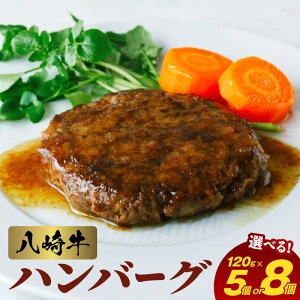 �y�ӂ邳�Ɣ[�Łz���苍 �n���o�[�O �� 120g �I�ׂ� ���e�� 5�� 8�� ���Y�� ���Y �|�� ���` ���јa�� �a�� �O���� �y�� ������ ���т̂��� ���H�i �H�i �� �Ⓚ �{�茧 �����s ���R�q�� ������