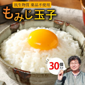 【ふるさと納税】延岡産 もみじ玉子 30個 純国産鶏 自家配合飼料 抗生物質 薬品不使用 たまご 卵かけご飯 卵焼き 安心 国産 新鮮 こだわり 食品 フレッシュエッグ 旭愛鶏園 九州 宮崎県 延岡市 お取り寄せ 送料無料